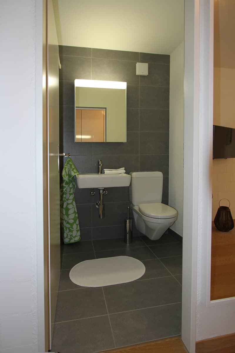 Singlewohnung - Möbliert und Ausgestattet - Modern (4)