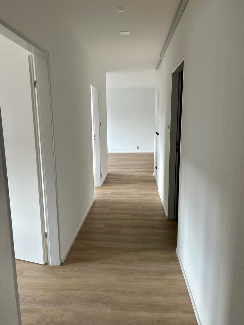 Sanierte Familienwohnung am Wiesenplatz (2)