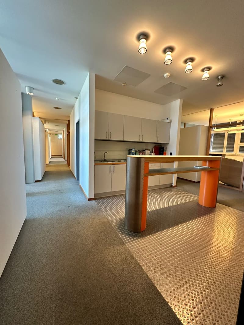 Open-concept kitchen and living area with modern appliances, cabinets, and lighting fixtures. Hallway leading to other rooms. Textured flooring throughout the space.