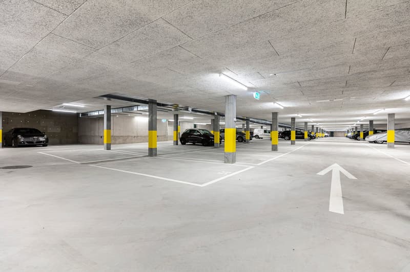 Kügeliwohl um Oerlikon (11)