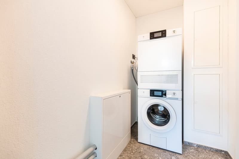 Kügeliwohl um Oerlikon (9)