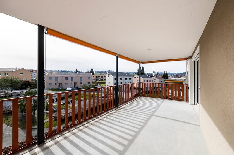 Moderne Attika-Wohnung im Grünen (11)