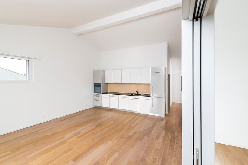 Moderne Attika-Wohnung im Grünen (2)