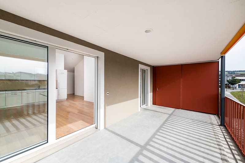 Moderne Attika-Wohnung im Grünen (12)