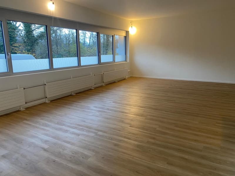 Schönes Gewerbeatelier oder Büro (4)
