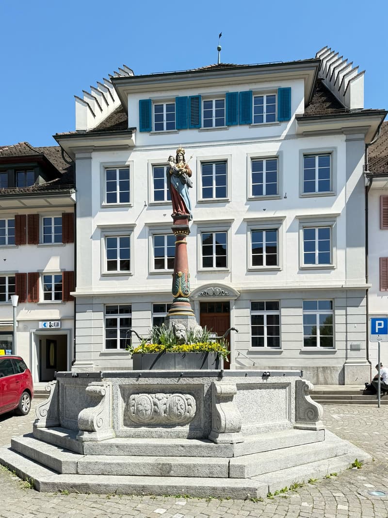 Totalsanierte 2.5-Zimmerwohnungen im Stadtkern von Sursee (1)