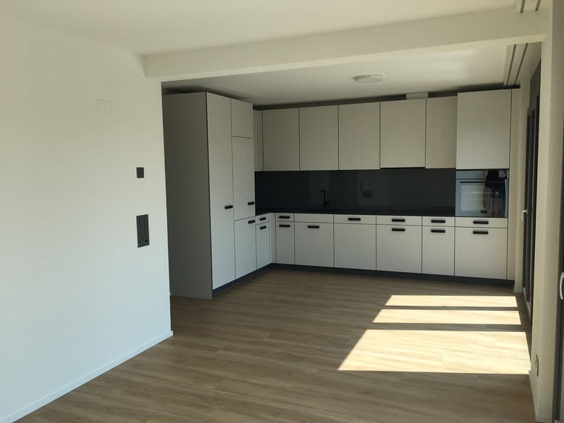 Topmoderne Attikawohnung (1)