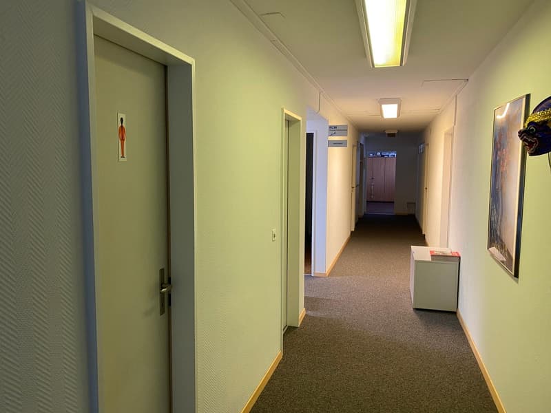 Arbeiten direkt am Bahnhof Örlikon (3)