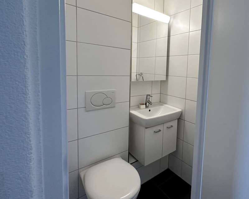 Grosszügige 3-Zimmerwohnung im Grünen (5)