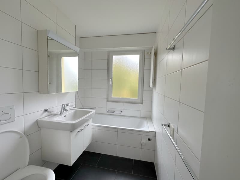 Grosszügige 3-Zimmerwohnung im Grünen (6)