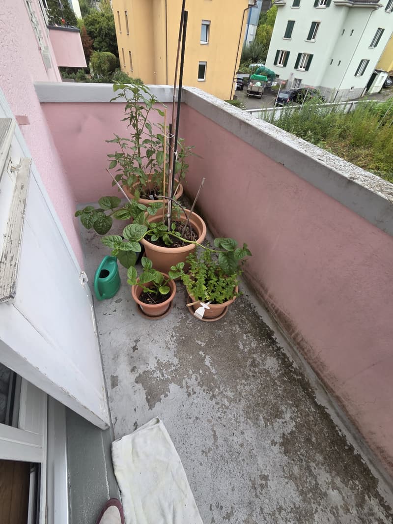 Charmante 3.5-Zimmer-Wohnung an zentraler Lage in Adliswil (6)