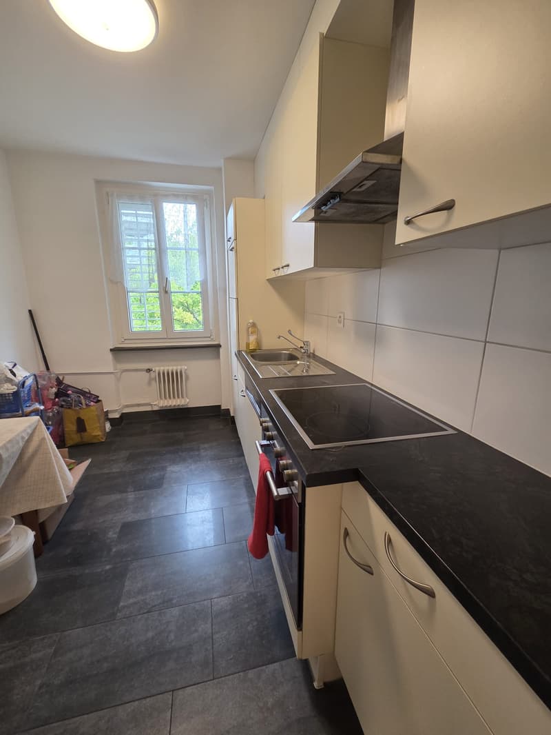 Charmante 3.5-Zimmer-Wohnung an zentraler Lage in Adliswil (4)