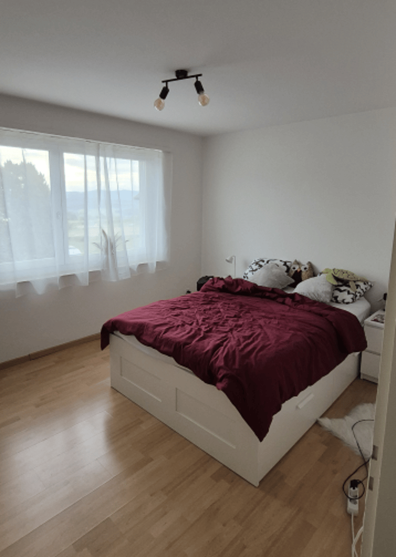 Gemütliche Wohnung im Grünen (4)