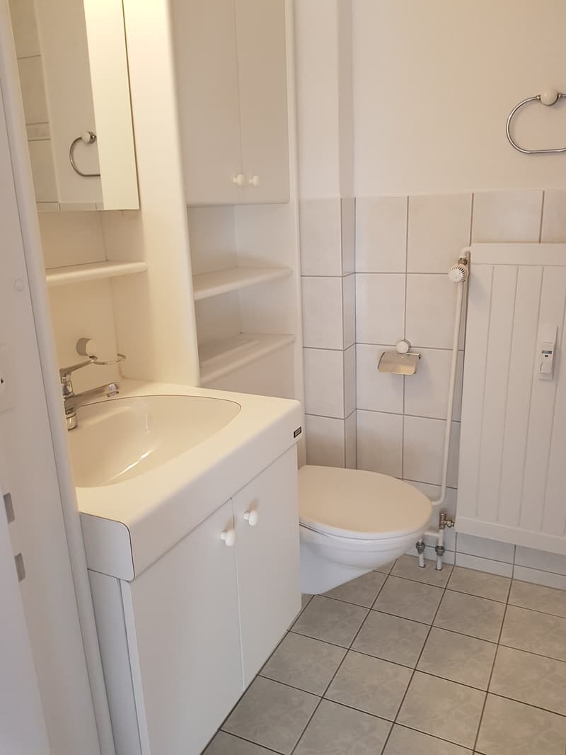 Viel Platz für die ganze Familie – 4.5-Zimmer-Wohnung in Kreuzlingen (8)