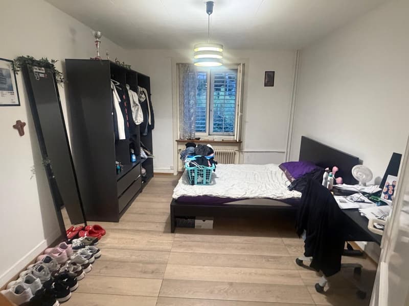 Charmante 3.5-Zimmer-Wohnung an zentraler Lage in Adliswil (2)