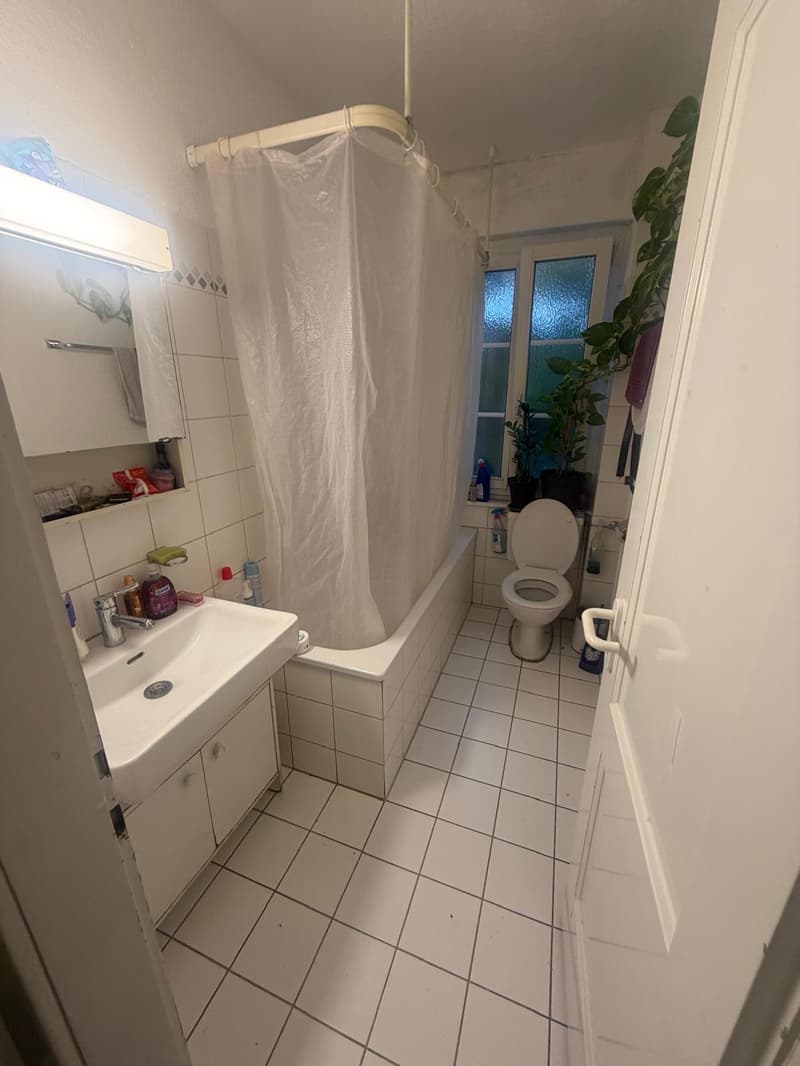 Charmante 3.5-Zimmer-Wohnung an zentraler Lage in Adliswil (5)