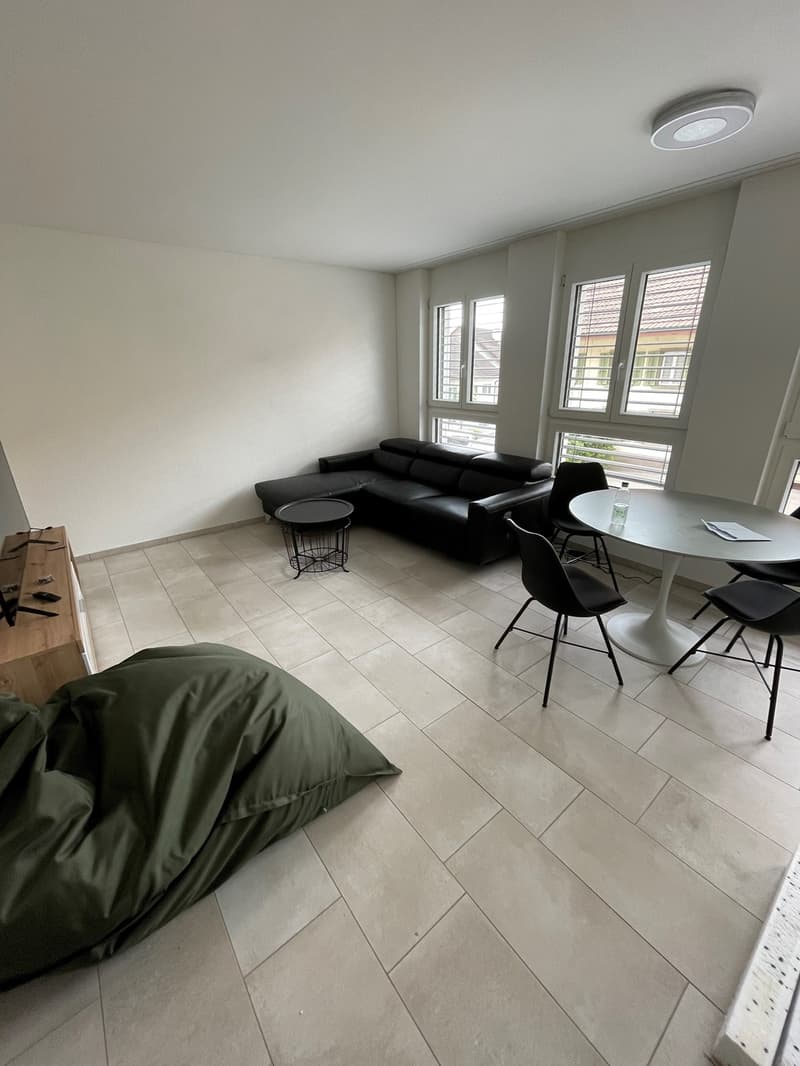 Moderne 1.5-Zimmer-Wohnung in Würenlingen (2)
