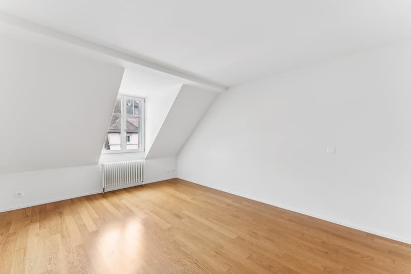 Ottimo appartamento in città in affitto (7)