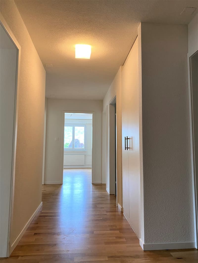 4-Zimmerwohnung im 5. OG in Stansstad (5)