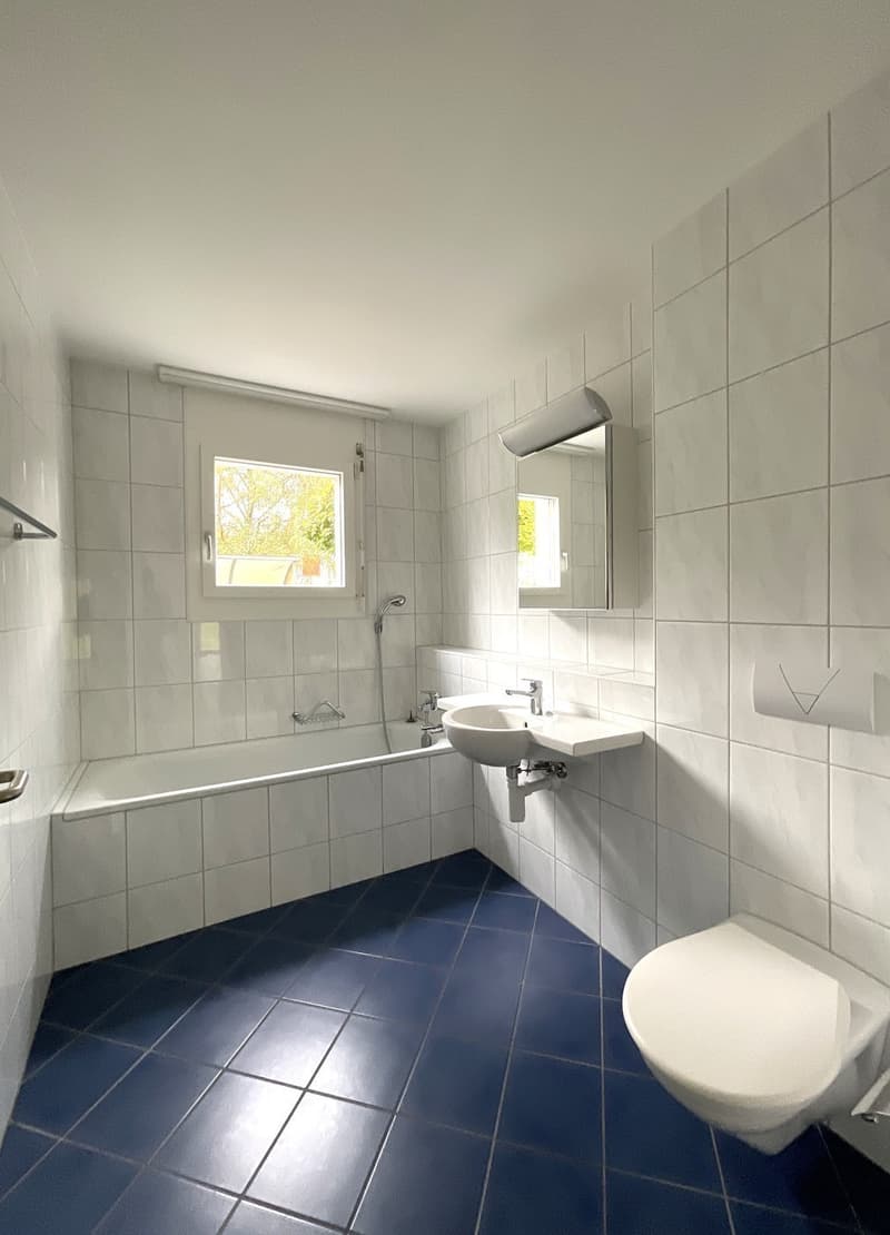 4.5-room apartment for rent in a green area near Olten (6)