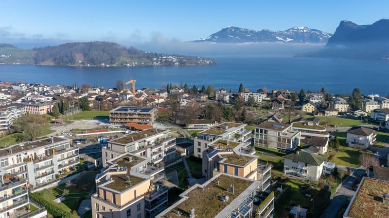 Proprietà commerciale / ufficio / studio in una posizione tranquilla a Hergiswil (13)
