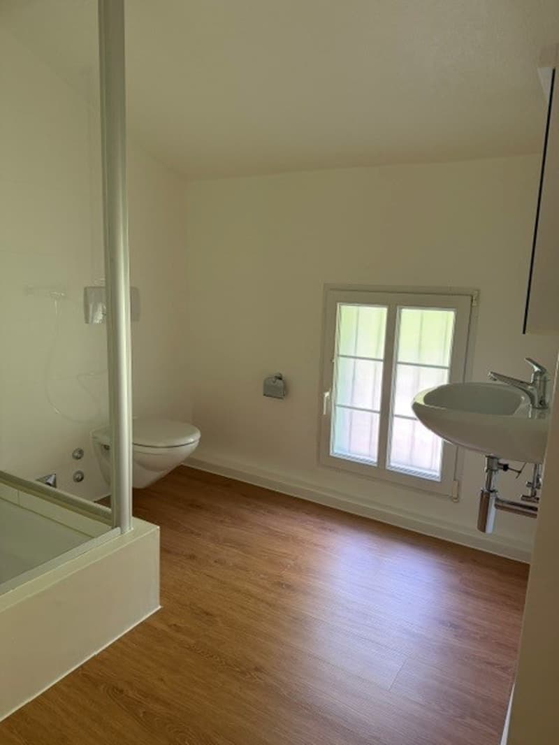 Schöne Wohnung in Zentrumsnähe von Luzern zu vermieten! (5)