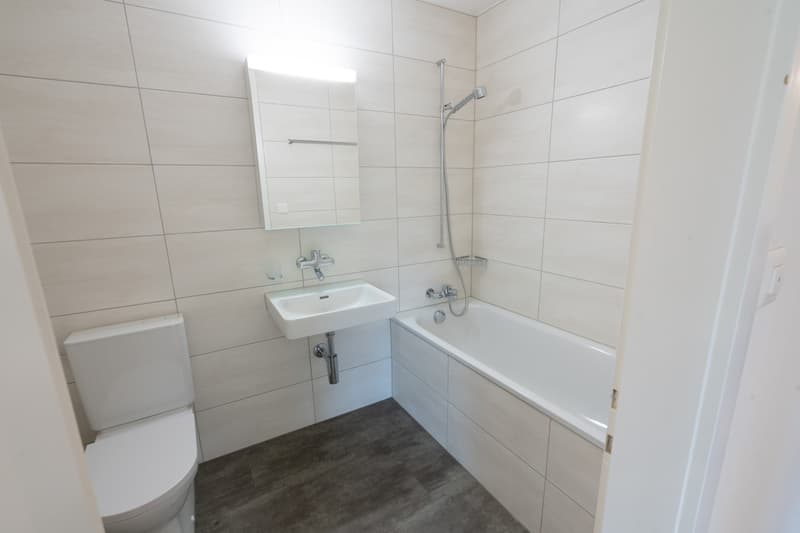 3 Zimmer-Wohnung, 6005 Luzern (7)