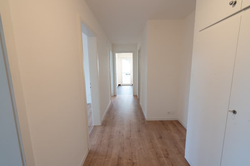3 Zimmer-Wohnung, 6005 Luzern (4)