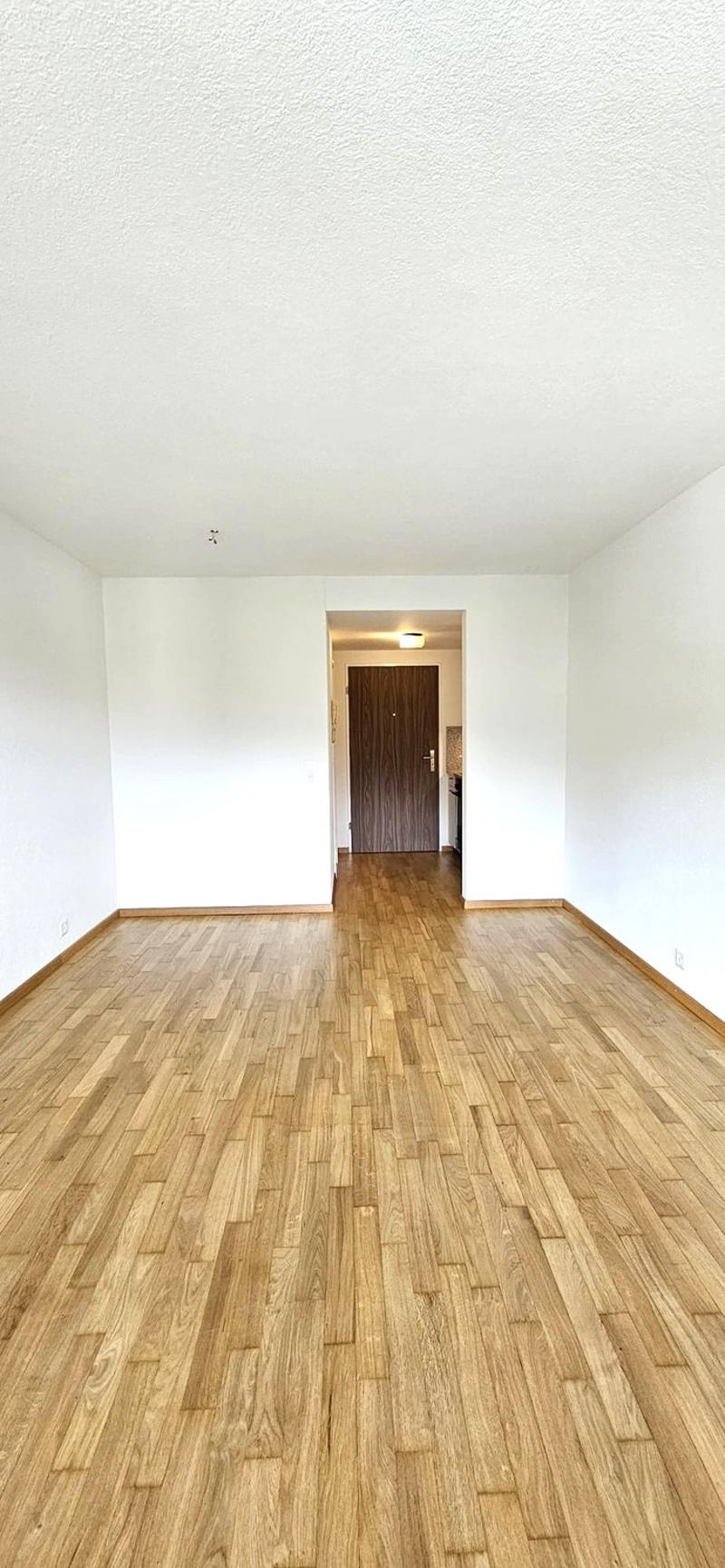Wohnen in der schönen Stadt Luzern (5)