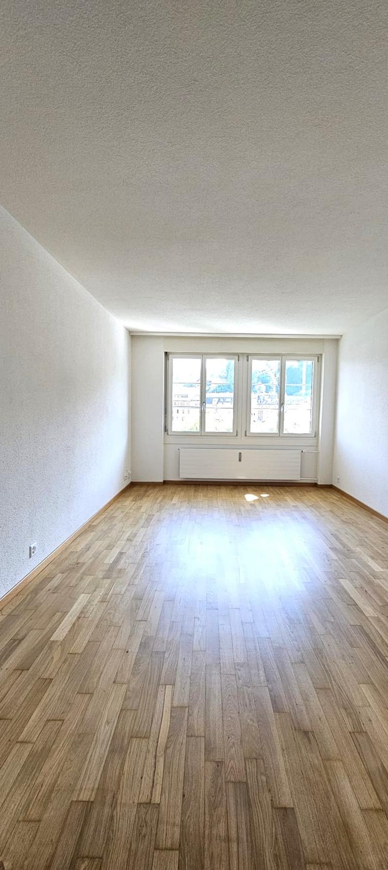 Wohnen in der schönen Stadt Luzern (6)