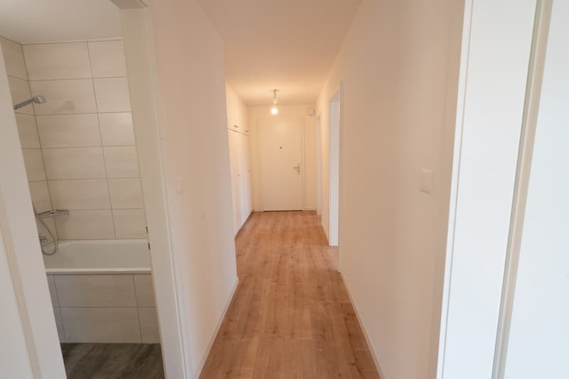 3 Zimmer-Wohnung, 6005 Luzern (5)