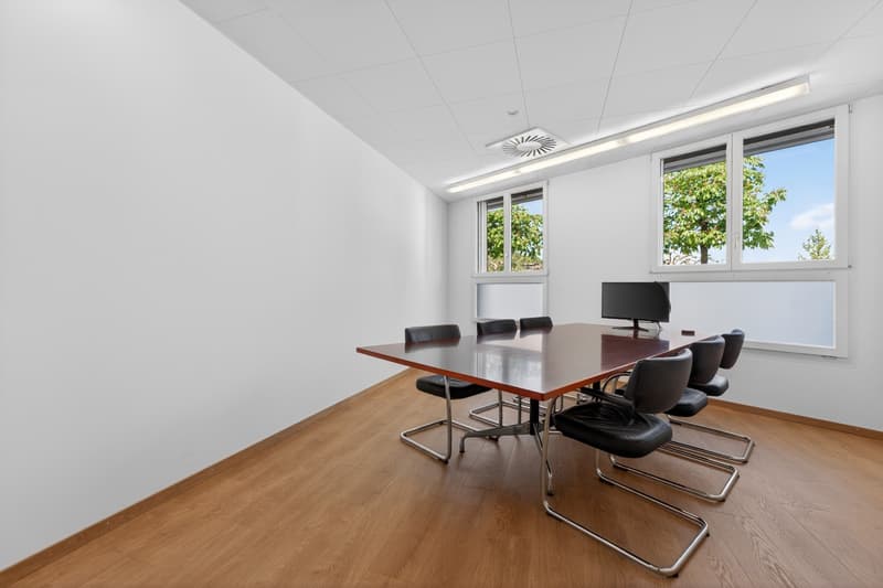 Geschäftsliegenschaft / Büro / Praxis an ruhiger Lage in Hergiswil (3)