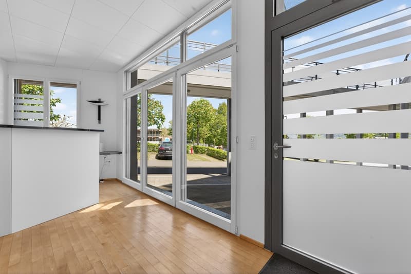 Geschäftsliegenschaft / Büro / Praxis an ruhiger Lage in Hergiswil (2)