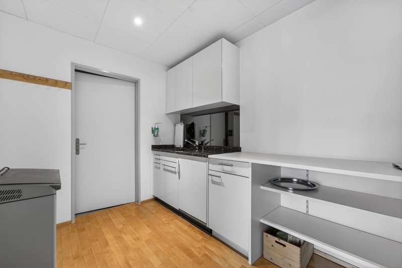 Geschäftsliegenschaft / Büro / Praxis an ruhiger Lage in Hergiswil (9)