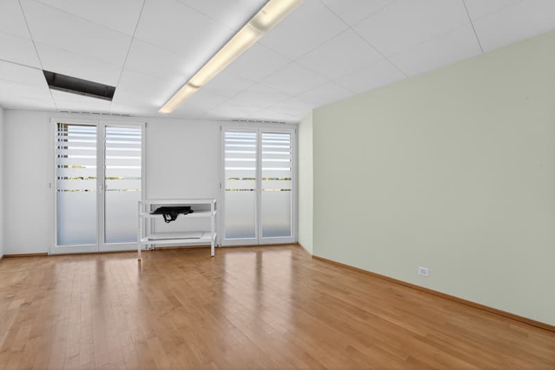 Geschäftsliegenschaft / Büro / Praxis an ruhiger Lage in Hergiswil (5)