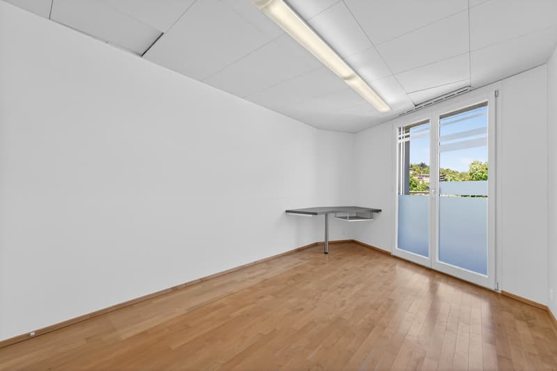 Geschäftsliegenschaft / Büro / Praxis an ruhiger Lage in Hergiswil (6)