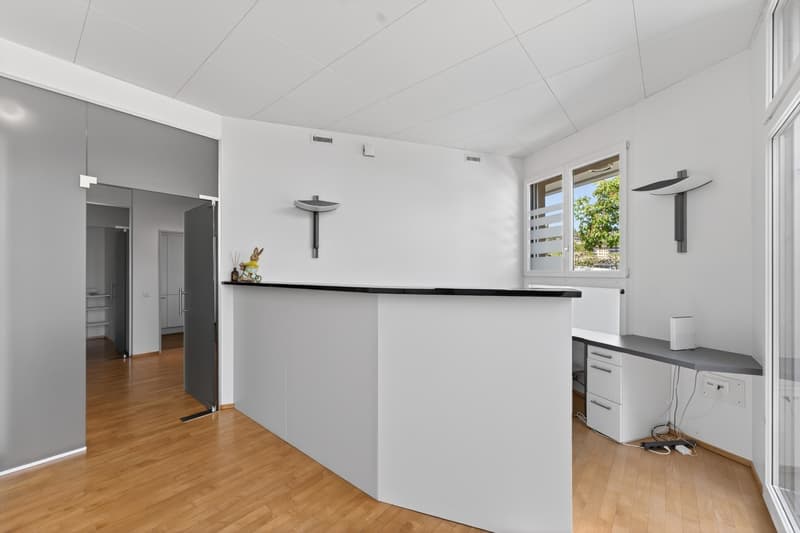 Geschäftsliegenschaft / Büro / Praxis an ruhiger Lage in Hergiswil (4)