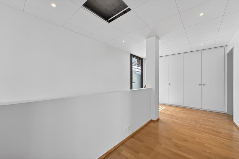 Geschäftsliegenschaft / Büro / Praxis an ruhiger Lage in Hergiswil (10)