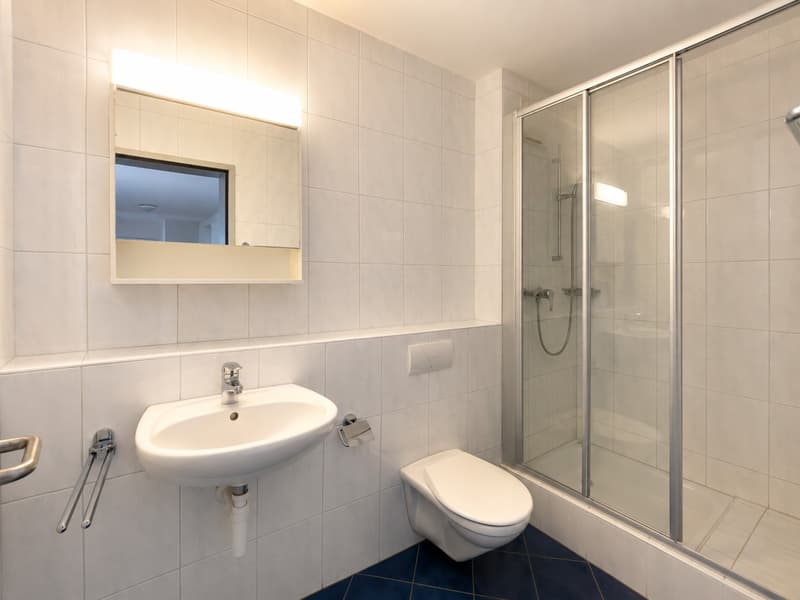 4½-Zimmerwohnung im Grünen nähe Olten zu vermieten (7)