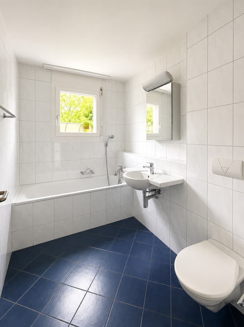 4½-Zimmerwohnung im Grünen nähe Olten zu vermieten (6)