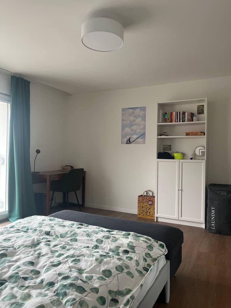 Schöne 3.5 Zimmerwohnung (11)