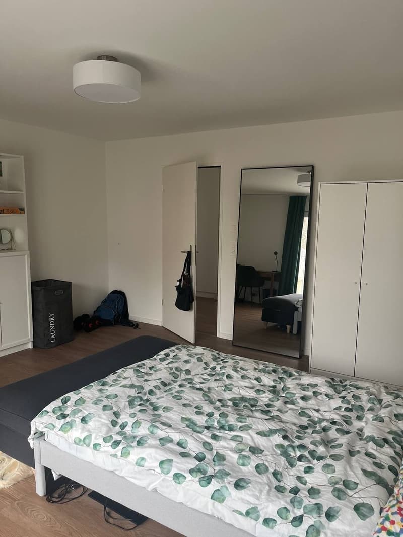 Schöne 3.5 Zimmerwohnung (8)