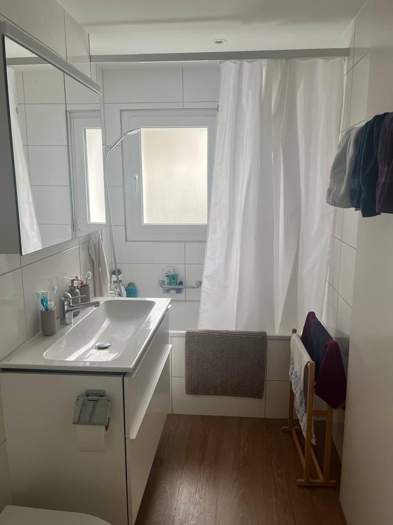 Schöne 3.5 Zimmerwohnung (10)
