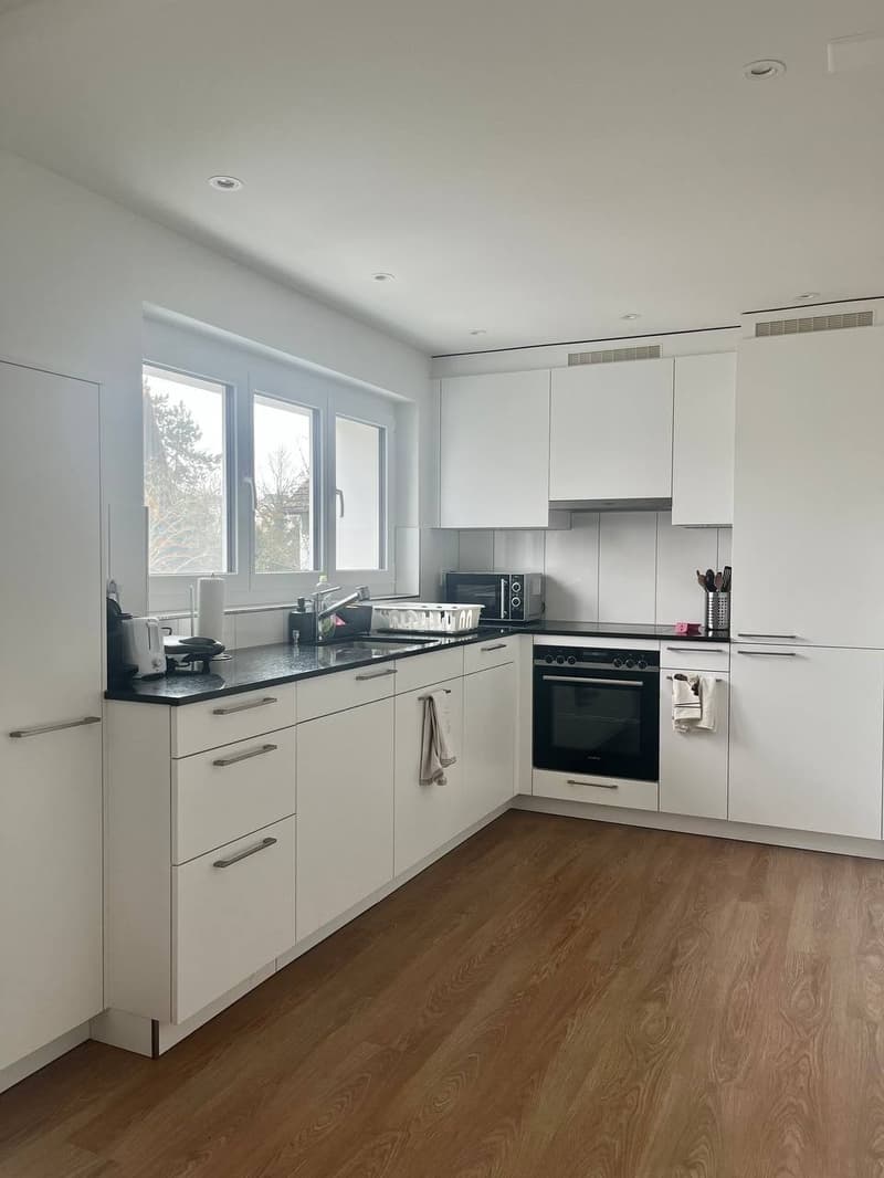 Schöne 3.5 Zimmerwohnung (1)