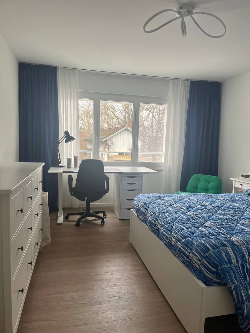 Schöne 3.5 Zimmerwohnung (13)