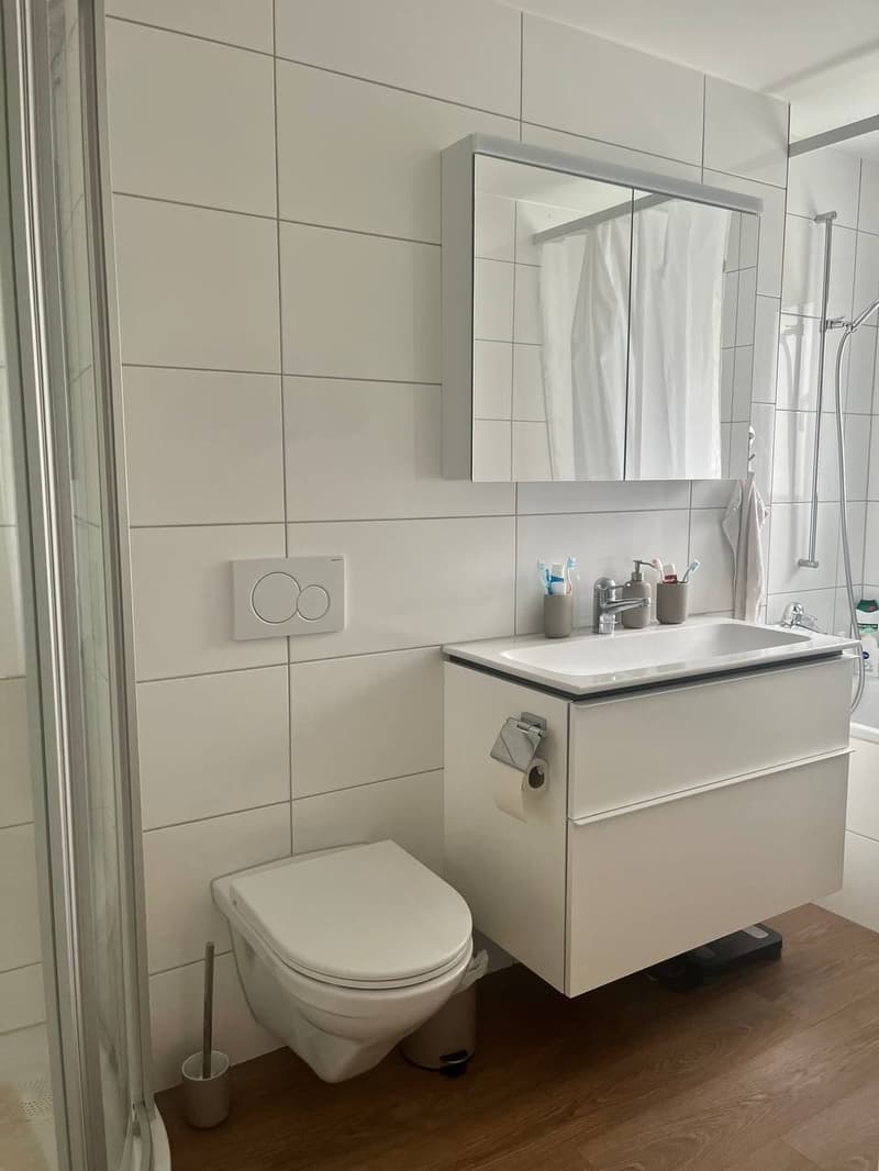 Schöne 3.5 Zimmerwohnung (6)