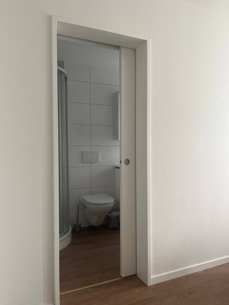 Schöne 3.5 Zimmerwohnung (7)