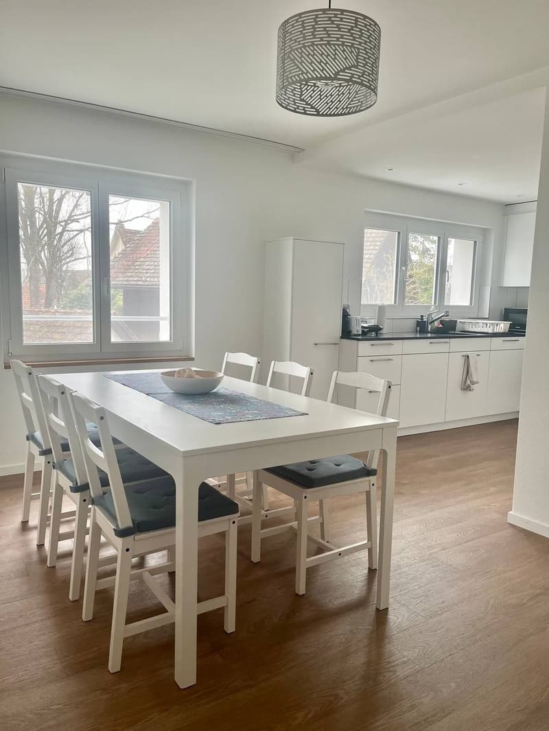 Schöne 3.5 Zimmerwohnung (2)