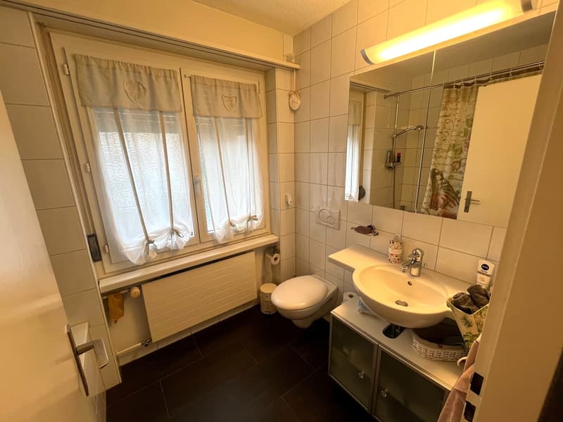Grosszügige 3 ½-Zimmerwohnung in Buchrain (12)