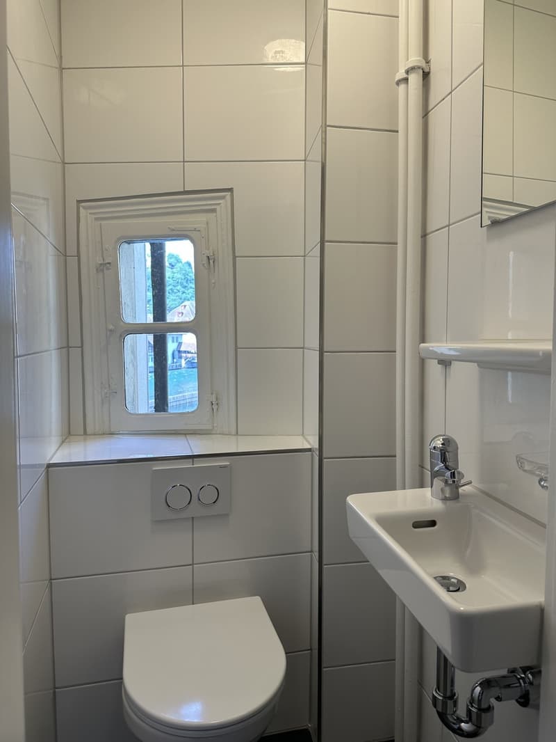Historisches Wohnen direkt an der Reuss  3-Zimmerwohnung in der Luzerner Altstadt (9)